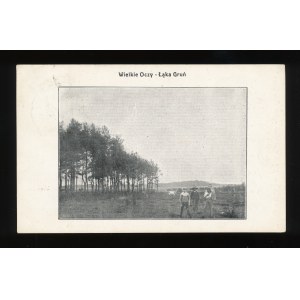 Wielkie Oczy near Lubaczów. - Meadow Gruń 1911. (2)
