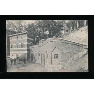 Iwonicz - Dom pod Brzozą 1911 (45)