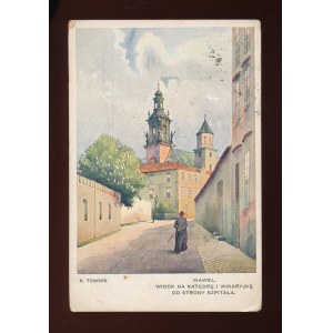 Kraków - Wawel. Widok na katedrę (73)
