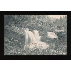 Krynica - Black Creek Waterfall 1911 (101)