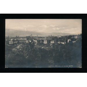 Bielsko - Biała, Bielsko od strony parku (141)