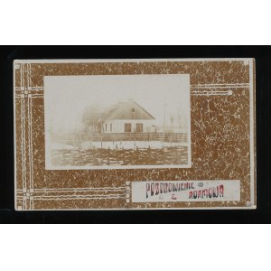 Adamy, 1908 (168)