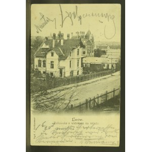 Lwów - Zofiowska z widokiem na miasto 1902 (226)