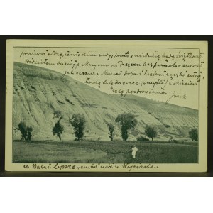 Muszkatów - Brzeg Seretu 1911 (275)