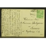 Nadwórna - Ruiny zamku 1912 (278)
