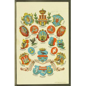 Coats of arms of Galician cities 1907 (343)