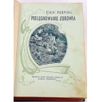 FISCHER-DÜCKELMANN - FRAUENHAUSHALTSMEDIZIN Verlag 1908 Jugendstileinband