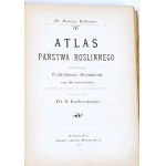 WILKOMM - ATLAS PAŃSTWA ROŚLINNEGO kolorowe tablice, drzeworyty