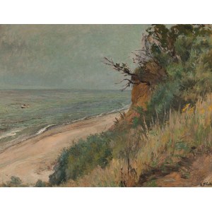Henryk PLICH, VIEW FROM THE CLIFF OVER THE BALTIC