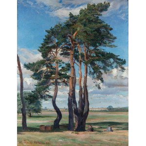 Kazimierz Lasocki (1871 Gąbin - 1952 Warsaw), Mazovian Pines, 1923.