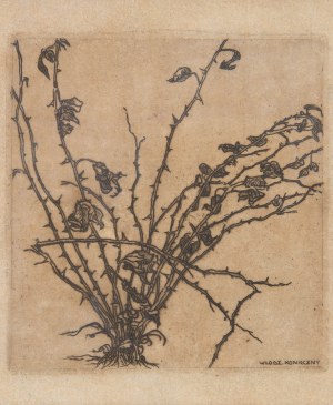 Włodzimierz Konieczny (1886-1916), Krzew róży