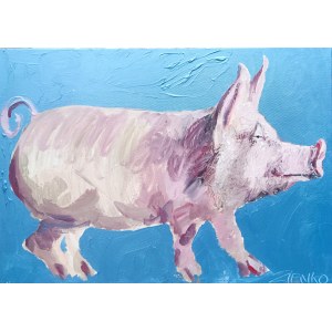 Artur Zienko, Pig in the Sky