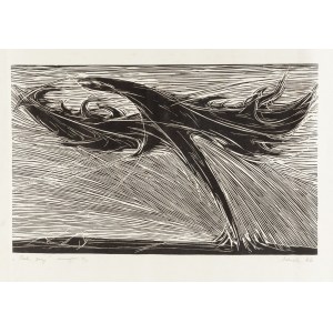 Józef Marek (1922 Bielsko-Biała - 2020 Kraków), Vogel der Nacht, 1966