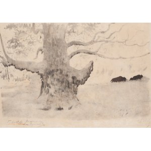 Leon Wyczółkowski (1852 Huta Miastkowska - 1936 Warsaw), Landscape with oak and bison , 1920s.