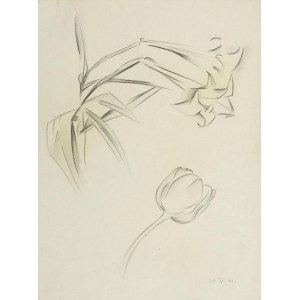 Stanisław Kubicki (1889 Ziegenhain - 1942 Berlín), Štúdia tulipánov, 1931