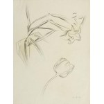 Stanisław Kubicki (1889 Ziegenhain - 1942 Berlin), Studium tulipanów, 1931