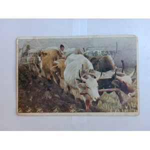 POSTCARD POLISH PAINTING JAROCKI PLOWING VILLAGE COW OX PRE-WAR 1930