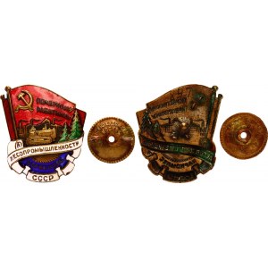 Russia - USSR Badge Honorary Worker of the Timber Industry Narkomles (National Commissariat of the Forest Industry of the USSR) 1939