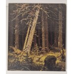 [ALBUM] SCHISCHKIN Publishers Aurora-Kunstverlag, Leningrad 1983