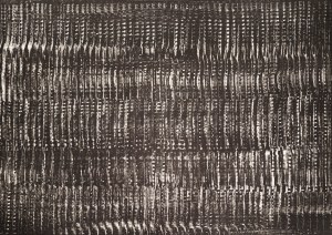 Heinz Mack (1931 Lollar) (F), Structure in black 'Vibration I'