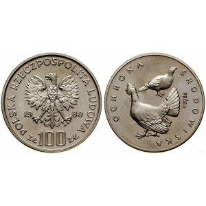 Polska, 100 złotych, 1980, Warszawa