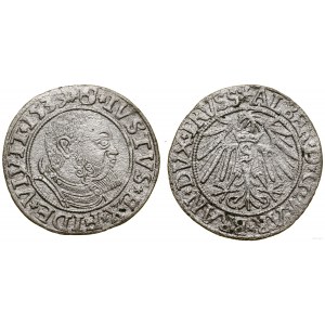 Prusy Książęce (1525-1657), grosz, 1539, Królewiec