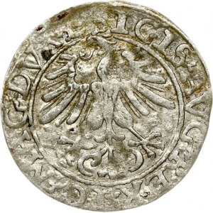 Lithuania Polgrosz 1561 Vilnius L/LITV