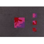 Hanna Zawa-Cywińska (nar. 1939), Flamenco I, 1989