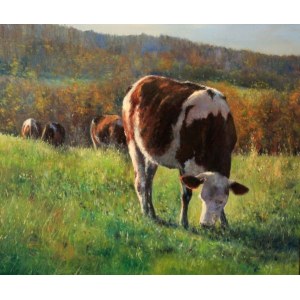 Slawomir Biela, Cows