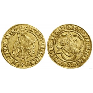 Německo, goldgulden, bez data (1427-1428), Bacherach