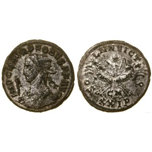 Roman Empire, coin antoninian, 276-282, Cisicus