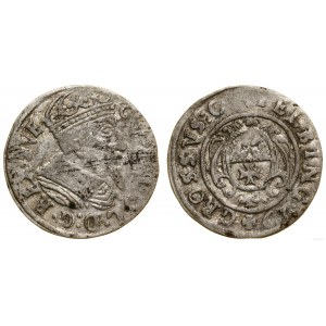 Polen, Pfennig, 1629, Elbląg