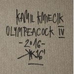 Kamil Kmiecik (nar. 1991, Kalisz), Olympeacock IV, 2016