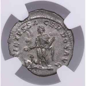 Roman Empire AR Denarius - Elagabalus (AD 218-222) - NGC Ch AU