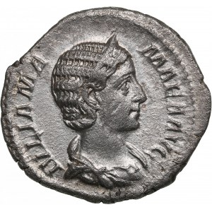 Roman Empire AR Denarius - Julia Mamaea (AD 231)