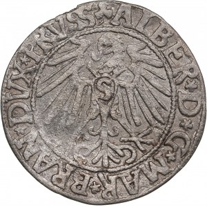 Germany, Prussia 1 Groschen 1546 - Albert I (1525-1568)