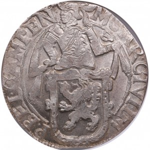 Netherlands, Kampen Lion Daalder 1648 - NGC MS 64
