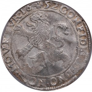 Netherlands, Kampen Lion Daalder 1652 - NGC MS 64