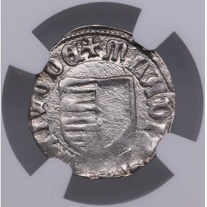 Romania, Wallachia AR Denar - Vladislav I (1364-1377) - NGC AU 58