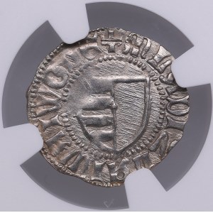 Romania, Wallachia AR Denar - Vladislav I (1364-1377) - NGC MS 62