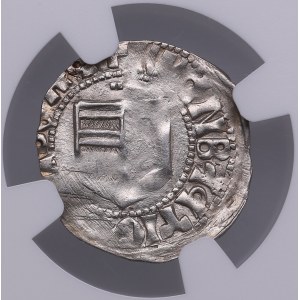 Romania, Wallachia AR Denar - Vladislav I (1364-1377) - NGC MS 62