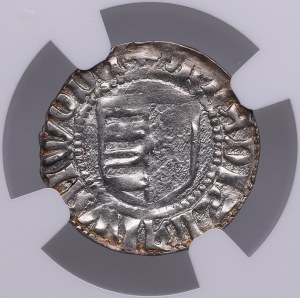 Romania, Wallachia AR Denar - Vladislav I (1364-1377) - NGC MS 62