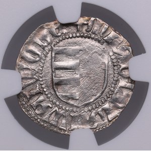 Romania, Wallachia AR Denar - Vladislav I (1364-1377) - NGC MS 62