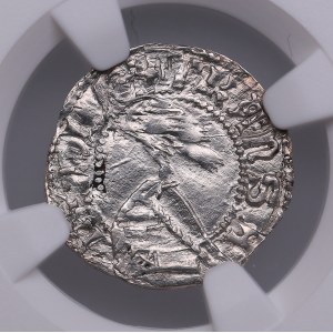 Romania, Wallachia AR Denar - Vladislav I (1364-1377) - NGC MS 63