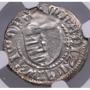 Romania, Wallachia AR Denar - Vladislav I (1364-1377) - NGC MS 63