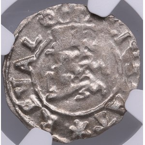 Reval, Sweden 1 Öre 1625 - Gustav II Adolf (1621-1632)- NGC MS 63