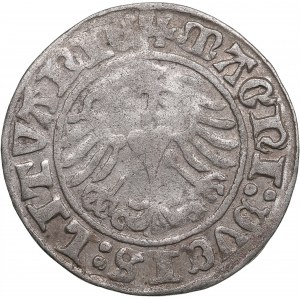 Polish-Lithuanian Commonwealth 1/2 Grosz 1510 - Sigismund I the Old (1506-1548)