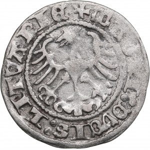 Polish-Lithuanian Commonwealth 1/2 Grosz 1513 - Sigismund I the Old (1506-1548)