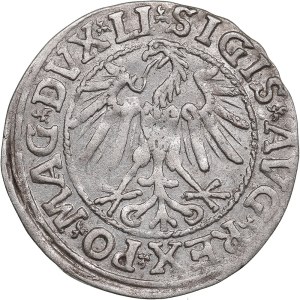 Polish-Lithuanian Commonwealth 1/2 Grosz 1546 - Sigismund II Augustus (1545-1572)