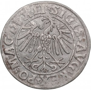 Polish-Lithuanian Commonwealth 1/2 Grosz 1547 - Sigismund II Augustus (1545-1572)